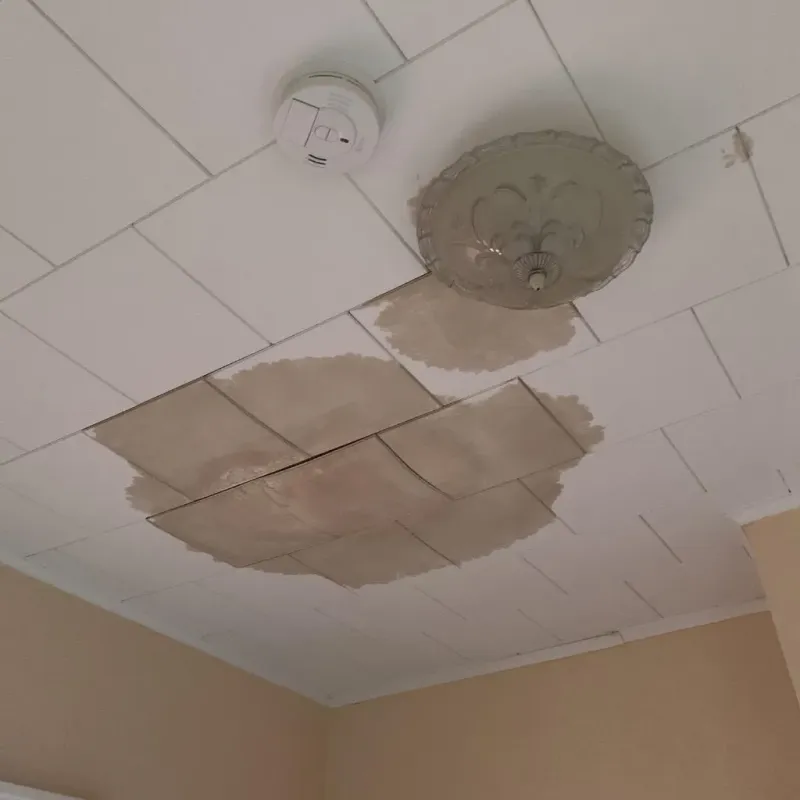 Ceiling Water Damage Repair in Clinton County, OH
