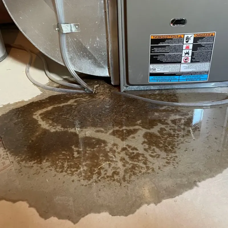 Pipe Burst and Leak Restoration in Clinton County, OH