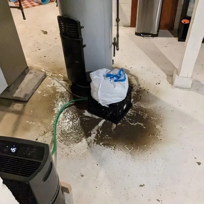 Sewage Backup Cleanup Service in Clinton County, OH